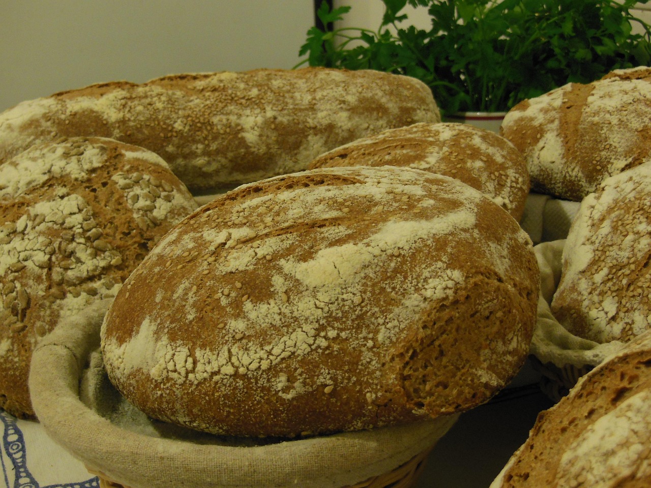 Freshly baked sourdough loaf with a scored crust